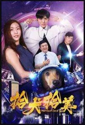 我的小狗斯齐普